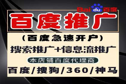 百度竞价排名策略优化：某公司广告投放效果翻倍的秘诀